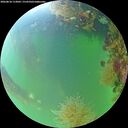 ./images/calvert/underwater/20260818/underwater20260818_113002M.jpg