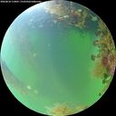 ./images/calvert/underwater/20260818/underwater20260818_114001M.jpg