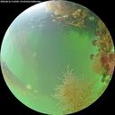 ./images/calvert/underwater/20260818/underwater20260818_115001M.jpg