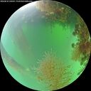 ./images/calvert/underwater/20260818/underwater20260818_130501M.jpg