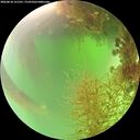 ./images/calvert/underwater/20260818/underwater20260818_131501M.jpg