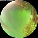 ./images/calvert/underwater/20260818/underwater20260818_132002M.jpg