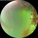 ./images/calvert/underwater/20260818/underwater20260818_132501M.jpg