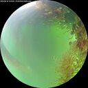 ./images/calvert/underwater/20260818/underwater20260818_133501M.jpg