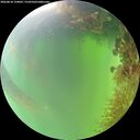 ./images/calvert/underwater/20260818/underwater20260818_134001M.jpg