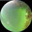 ./images/calvert/underwater/20260818/underwater20260818_135002M.jpg