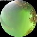 ./images/calvert/underwater/20260818/underwater20260818_135501M.jpg