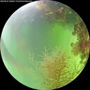 ./images/calvert/underwater/20260818/underwater20260818_140001M.jpg