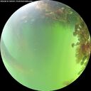 ./images/calvert/underwater/20260818/underwater20260818_140501M.jpg