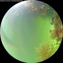 ./images/calvert/underwater/20260818/underwater20260818_141501M.jpg