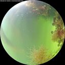 ./images/calvert/underwater/20260818/underwater20260818_142001M.jpg