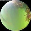 ./images/calvert/underwater/20260818/underwater20260818_142501M.jpg