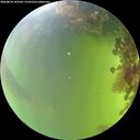 ./images/calvert/underwater/20260818/underwater20260818_143501M.jpg