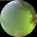 ./images/calvert/underwater/20260818/underwater20260818_144002M.jpg