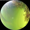 ./images/calvert/underwater/20260818/underwater20260818_145001M.jpg