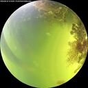 ./images/calvert/underwater/20260818/underwater20260818_151002M.jpg