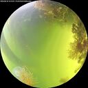 ./images/calvert/underwater/20260818/underwater20260818_151501M.jpg