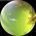 ./images/calvert/underwater/20260818/underwater20260818_152001M.jpg