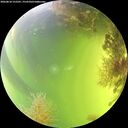 ./images/calvert/underwater/20260818/underwater20260818_152501M.jpg