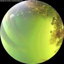 ./images/calvert/underwater/20260818/underwater20260818_153501M.jpg