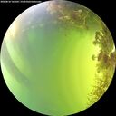 ./images/calvert/underwater/20260818/underwater20260818_160002M.jpg