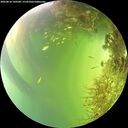 ./images/calvert/underwater/20260818/underwater20260818_160501M.jpg
