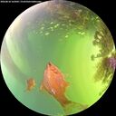 ./images/calvert/underwater/20260818/underwater20260818_162002M.jpg