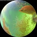 ./images/calvert/underwater/20260818/underwater20260818_162501M.jpg