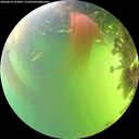 ./images/calvert/underwater/20260818/underwater20260818_163001M.jpg