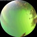 ./images/calvert/underwater/20260818/underwater20260818_163501M.jpg