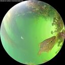 ./images/calvert/underwater/20260818/underwater20260818_164002M.jpg