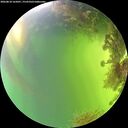 ./images/calvert/underwater/20260818/underwater20260818_165001M.jpg