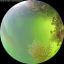 ./images/calvert/underwater/20260818/underwater20260818_170001M.jpg