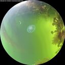 ./images/calvert/underwater/20260818/underwater20260818_170501M.jpg