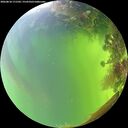 ./images/calvert/underwater/20260818/underwater20260818_171502M.jpg