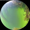 ./images/calvert/underwater/20260818/underwater20260818_174001M.jpg