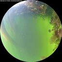 ./images/calvert/underwater/20260818/underwater20260818_175002M.jpg