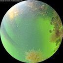 ./images/calvert/underwater/20260818/underwater20260818_180501M.jpg