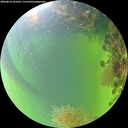 ./images/calvert/underwater/20260818/underwater20260818_181002M.jpg