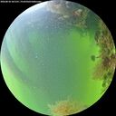 ./images/calvert/underwater/20260818/underwater20260818_181501M.jpg