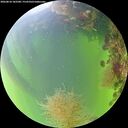 ./images/calvert/underwater/20260818/underwater20260818_182501M.jpg
