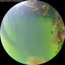 ./images/calvert/underwater/20260818/underwater20260818_183001M.jpg