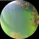 ./images/calvert/underwater/20260818/underwater20260818_184001M.jpg