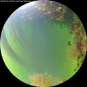 ./images/calvert/underwater/20260818/underwater20260818_185001M.jpg