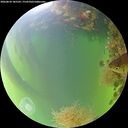 ./images/calvert/underwater/20260818/underwater20260818_185501M.jpg