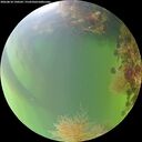 ./images/calvert/underwater/20260818/underwater20260818_190501M.jpg