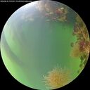 ./images/calvert/underwater/20260818/underwater20260818_191501M.jpg