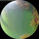 ./images/calvert/underwater/20260818/underwater20260818_192501M.jpg