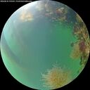 ./images/calvert/underwater/20260818/underwater20260818_193501M.jpg
