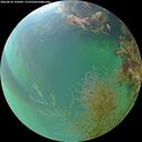 ./images/calvert/underwater/20260818/underwater20260818_195002M.jpg